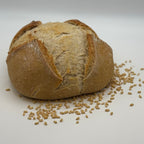 Loaf - Plain Sourdough